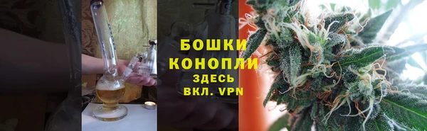 стафф Богданович