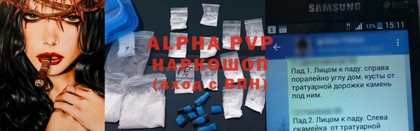 ECSTASY Богородск