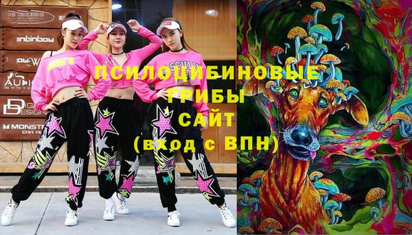 стафф Богородицк
