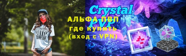 стафф Богородицк