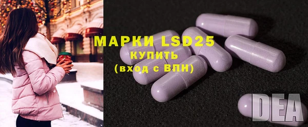 стафф Богданович